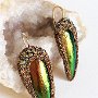 Earrings (Materials: Elytra of Asian Green Jewel beetle (Sternocera sp.), Swarovski crystals, Microbeads, Swarovski Ceralun Epoxy Clay,  Gold-filled earwire) 